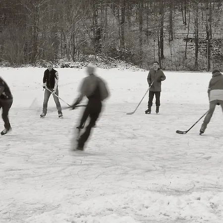 Seegasthof Franz Bolz Gbr *