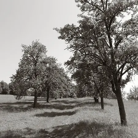 Seegasthof Franz Bolz Gbr 호텔 *