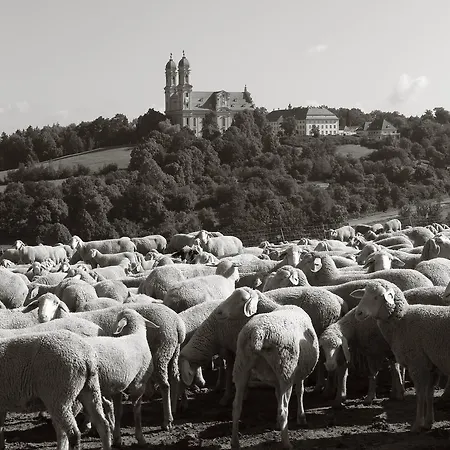 Seegasthof Franz Bolz Gbr Hotell *