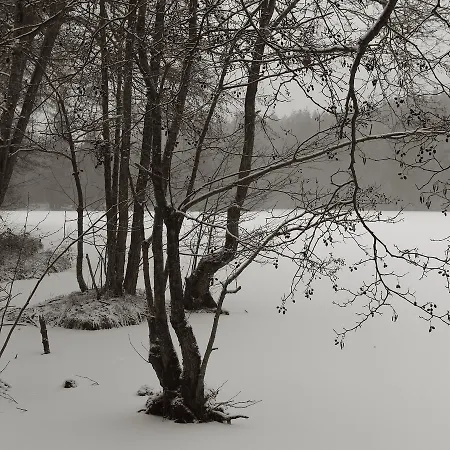 Seegasthof Franz Bolz Gbr *