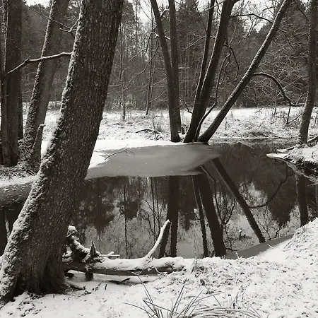 Seegasthof Franz Bolz Gbr *