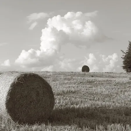 Seegasthof Franz Bolz Gbr 호텔 *