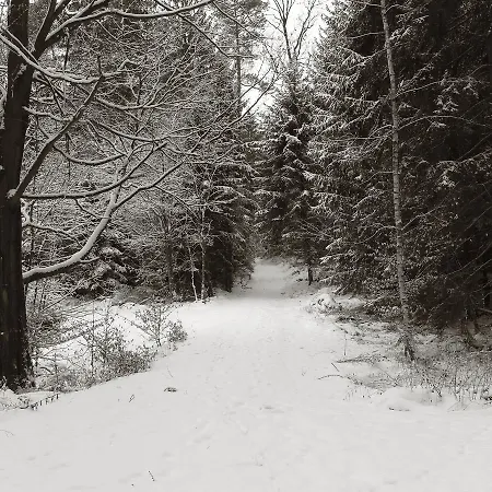 Seegasthof Franz Bolz Gbr *