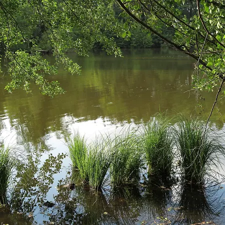 Seegasthof Franz Bolz Gbr *