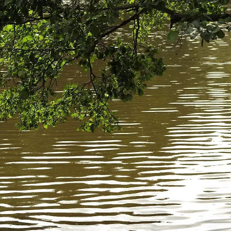 Seegasthof Franz Bolz Gbr 호텔 *