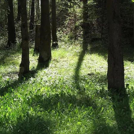 Seegasthof Franz Bolz Gbr 호텔 엘반겐