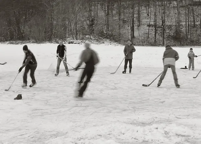 Seegasthof Franz Bolz Gbr *