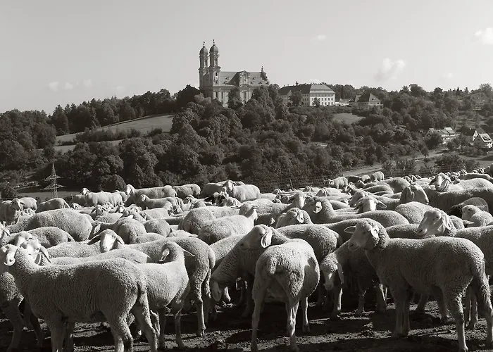 Seegasthof Franz Bolz Gbr Otel *