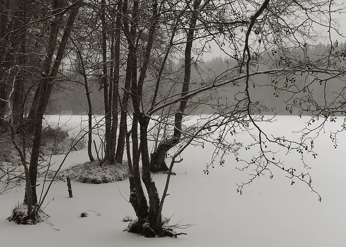 Seegasthof Franz Bolz Gbr *