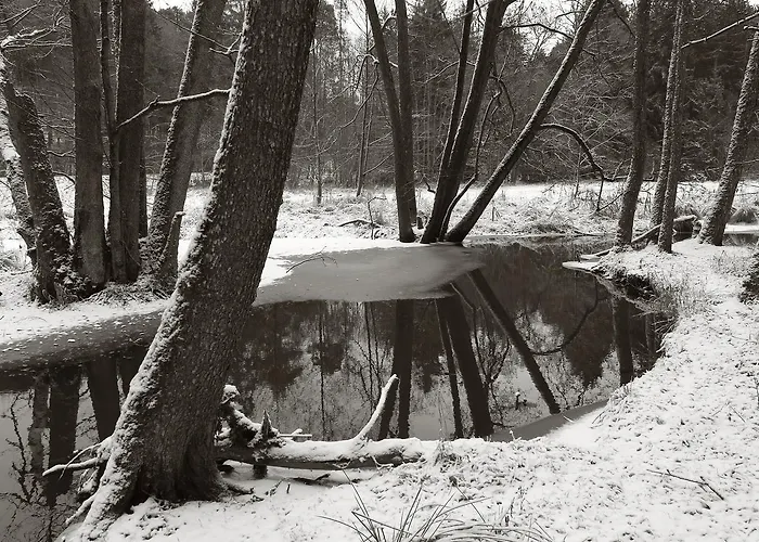 Seegasthof Franz Bolz Gbr *