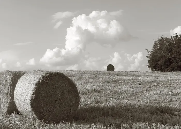 Seegasthof Franz Bolz Gbr Otel *