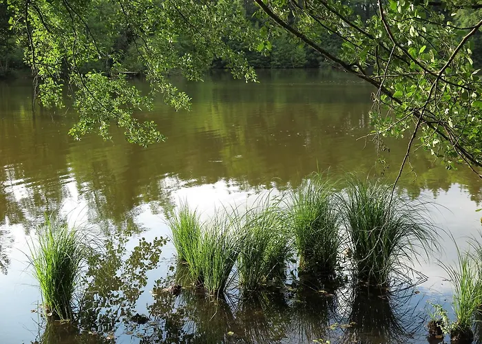 Seegasthof Franz Bolz Gbr *