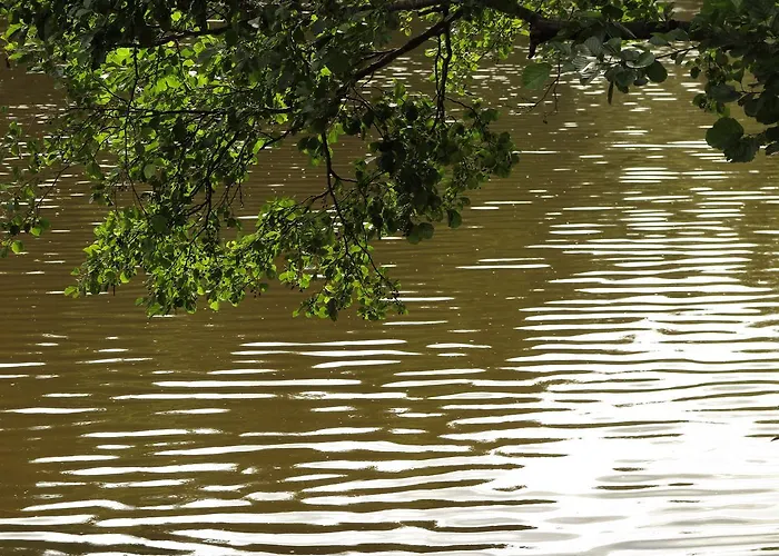 Seegasthof Franz Bolz Gbr Otel *