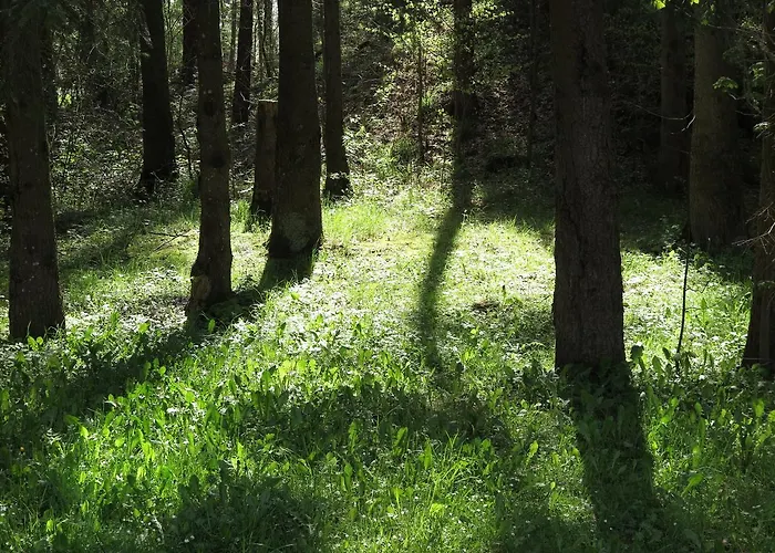 Seegasthof Franz Bolz Gbr Otel Ellwangen